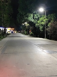 回馈家乡，落叶归根