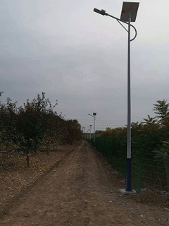 太阳能路灯道路施工实景图